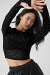 Mesh Plaid Cropped Long Sleeve Top - Black