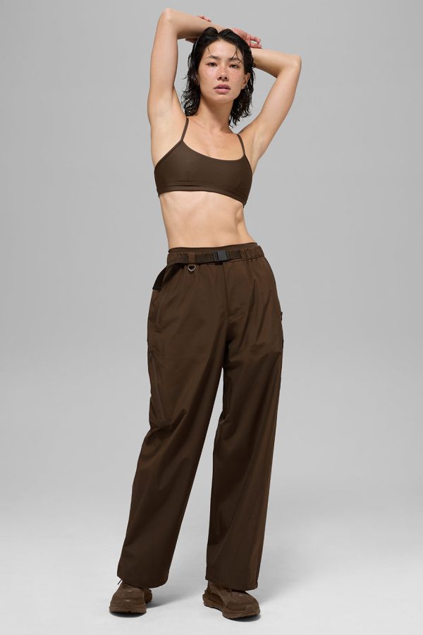 Alpha Shell Pant – Espresso